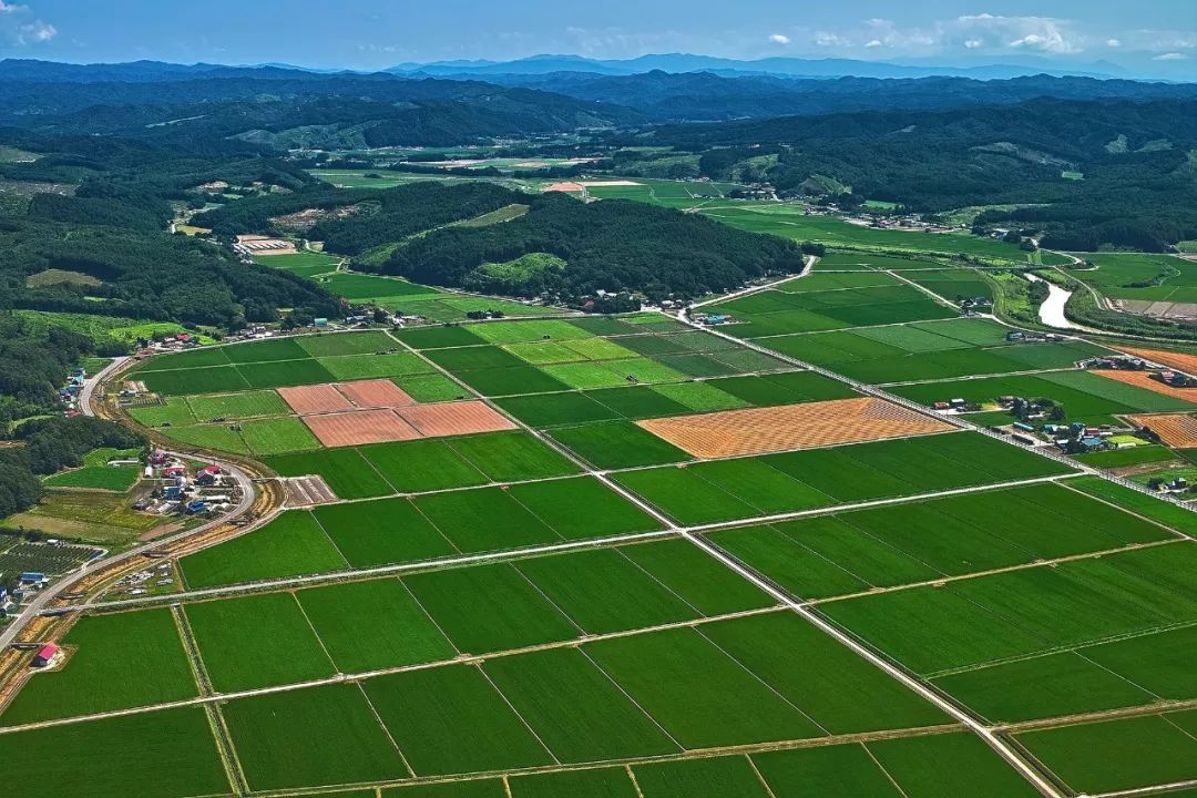 中國土地利用質(zhì)量顯著提升，助力經(jīng)濟高質(zhì)量發(fā)展