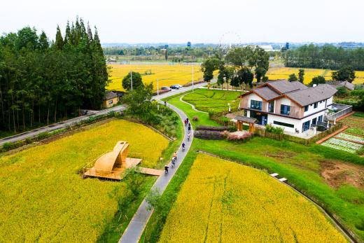 國(guó)資央企輸出助力鄉(xiāng)村振興特色樣本