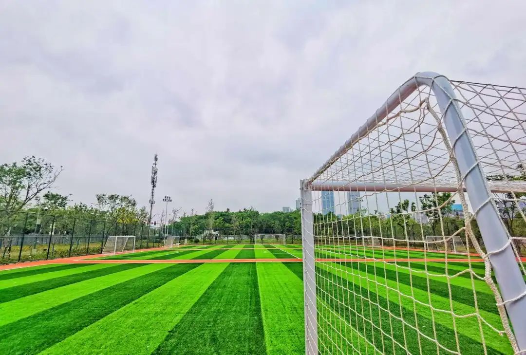 以人口為“定位器”布局體育公園，彰顯民生含金量