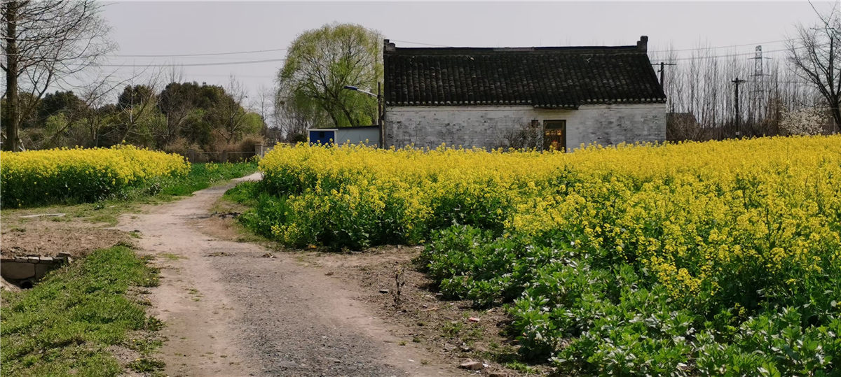 李建偉：村鎮(zhèn)與城市景觀系統(tǒng)的差異