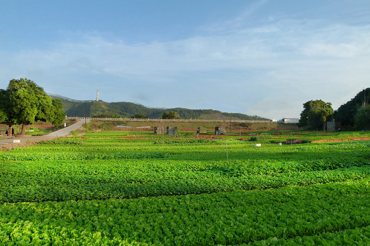 自然資源部：規(guī)范臨時用地 "用多少 恢復(fù)多少"