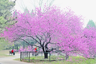 人居要聞|國家植物園，不只是看起來很美